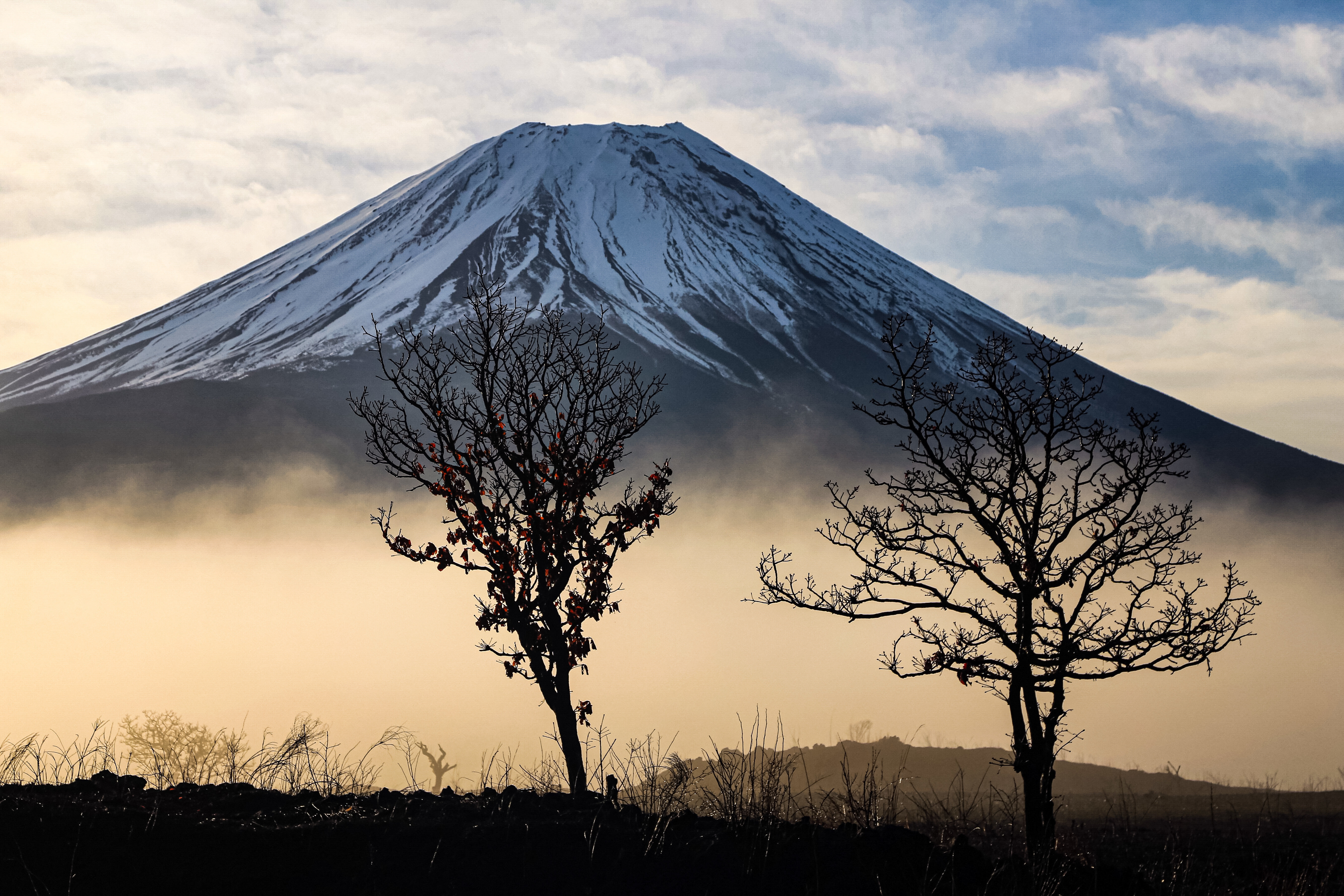 すごい富士山～絵画と写真の共演～